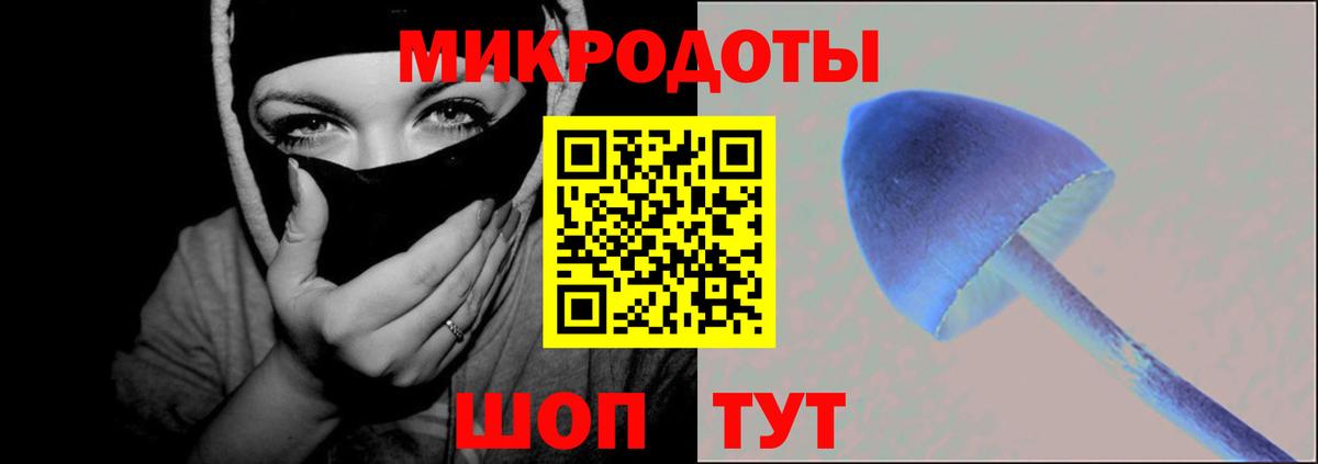 Псилоцибиновые грибы Psilocybine cubensis Куйбышев